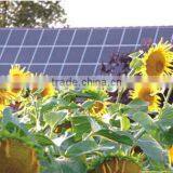 Bestsun High Quality 5000w Solar Powered Led Panel Simple Fashion Products thumbnail-4