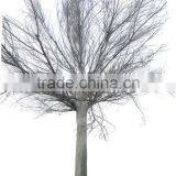 GNW WTR1102 High Quality Oversized Artificial Tree Without Leaf Winter Tree For Sale thumbnail-3