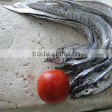 Ribbon Fish Surimi thumbnail-1