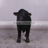 Definitive Angus Looking Right thumbnail-3