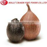 Wholesale Normal Black Garlic Price/ Black Garlic thumbnail-4