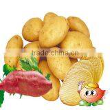 Low Caloric Diet Baked Potato Chips thumbnail-1