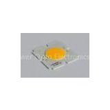 CE Approved Genesis Chip 30W COB LED , Integrated LED Light Source