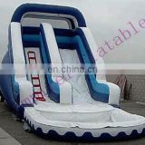 inflatable pool slide,inflatable toys,inflatable slide for adult WS024