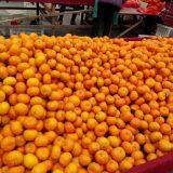 Fresh Fruit/Apple thumbnail-3