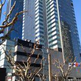 Maoheng (Shanghai) International Trade Co.,Ltd company overview - view 2 thumbnail