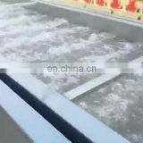 wide application industrial automatic fruit washing machine leaf vegetable air bubble washer machine