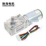 Chihai Motor CHW-GW4058-555 ABHL Hith Torque Max 95w DC 24V dc Worm Gear Motor With Encoder for Parking Lock thumbnail-7