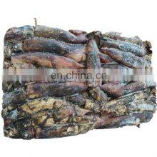 Frozen Black Squid Indian Ocean Squid Indian Squid Factory Direct Sale thumbnail-5