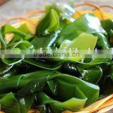 Fresh Kelp Knot,Laminaria Cut thumbnail-1