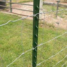 Hot Selling Star Picket Metal Y Fence Post thumbnail-5