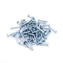 25kg Paper Carton Galvanized Roofing Clout Nails - Ready for OEM Branding thumbnail-2