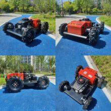 Smart Lawn Mower Euro 5/EPA Hazard-Free Operation Low Maintenance Cost, Grass Cutting Mower for Forestry Vigorun VTW550 thumbnail-3