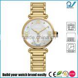 PVD Gold Ladies Stainless Steel Case Steel Back Watch Japan Quartz Movement Sapphire Glass With Gold Stainless Steel Band thumbnail-1