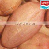 organic peanut for export