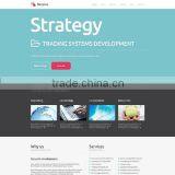 Website Design ECommerce