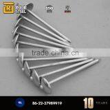Smooth Common Nail/Galvanized Roofing Nails Quality Products thumbnail-6