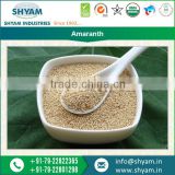 Pure And White Organic Amaranth at Lowest Price by Famous Brand