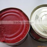 Thick Concentrated Tomato Paste/Tomato Ketchup