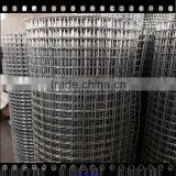 Hot Salse Galvanized Welded Wire Mesh