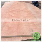 Plb Veneer Plywood Commercial Plywood for Construction Building Material thumbnail-1