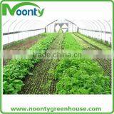 Agricultural Greenhouse thumbnail-4