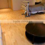 Indoor Usage Plastic Flooring Type PVC Rolls Flooring