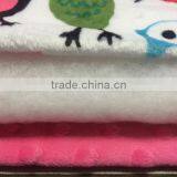 China Wholesaler Professional in Making Skin Friendly Washable Minky Printed Baby Quilt thumbnail-3