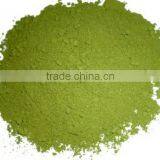 Moringa Oleifera Seeds Available... thumbnail-3