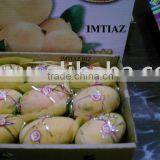 Sweet Mangoes thumbnail-1