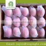 Apple Fuji, Red Delicious Apple Import From China thumbnail-1