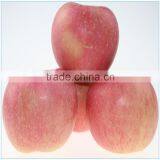 china fresh red delicious apple