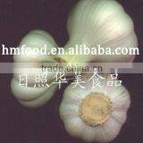 Natural White Fresh Garlic for Sale thumbnail-1
