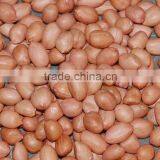 Red skin Peanut kernel