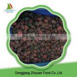 Frozen Blackberry thumbnail-1