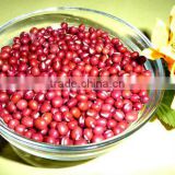 JSX Affordable price red speckled beans Different size adzuki bean