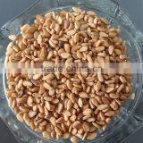 Top Quality Yellow Sesame Seeds thumbnail-2