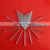 Polish Common Nail From Professional Factory thumbnail-1