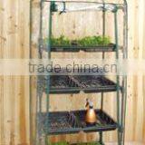 Plastic Cover With Seed Tray Mini Conservatory Kits HX51014-B4 thumbnail-1