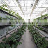 Greenhouse Kit thumbnail-6