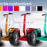 Leadway 2013 Chinese Strong Climbing Capacity Three Wheel Motorcycle Gas Powered Skateboard Electric Scooter With 1300w(W5L 02) thumbnail-5