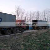 2cm Factory Supply Dried Shrimps For Tortoise Food ; Red Dried Shrimps thumbnail-5