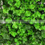 SJ11301208 Landscaping Decorative Ivy Grass Leaf Fence/boxwood Grass Mat thumbnail-3