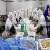 Frozen Vacuumed Baby Clam Cheap Pirce For Sale thumbnail-3