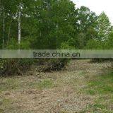 Real Estate for Sale in Japan , Property , Hokkaido thumbnail-1