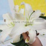 2016 Hot Sale Decorative White Spray Head Lily FlowerWedding Table Centerpieces Flower Wholesale Flower From Yunnan thumbnail-1