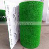 Great Services Gold- Rush Grass With 100% Quality thumbnail-4