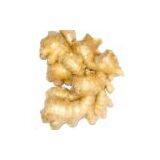 Sell Ginger thumbnail-1