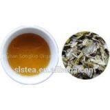 chinese organic green tea extra chunmee bulk wholesale9371