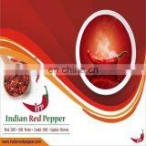 Wonder Hot With Stem Chilli thumbnail-1